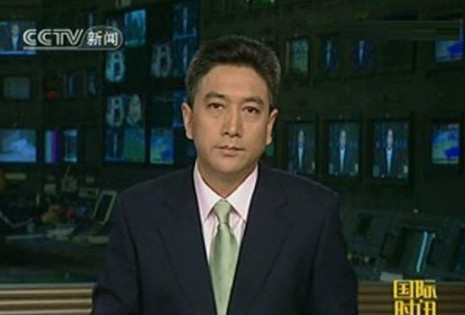 收入证明_央视编导收入(3)