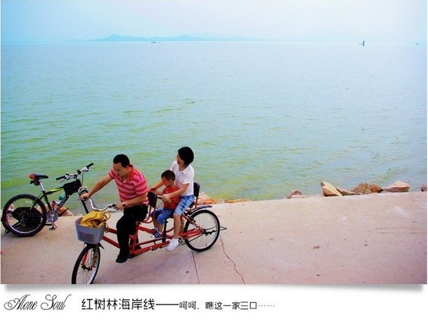 深圳红树林骑单车介绍,红树林租单车价格_深圳