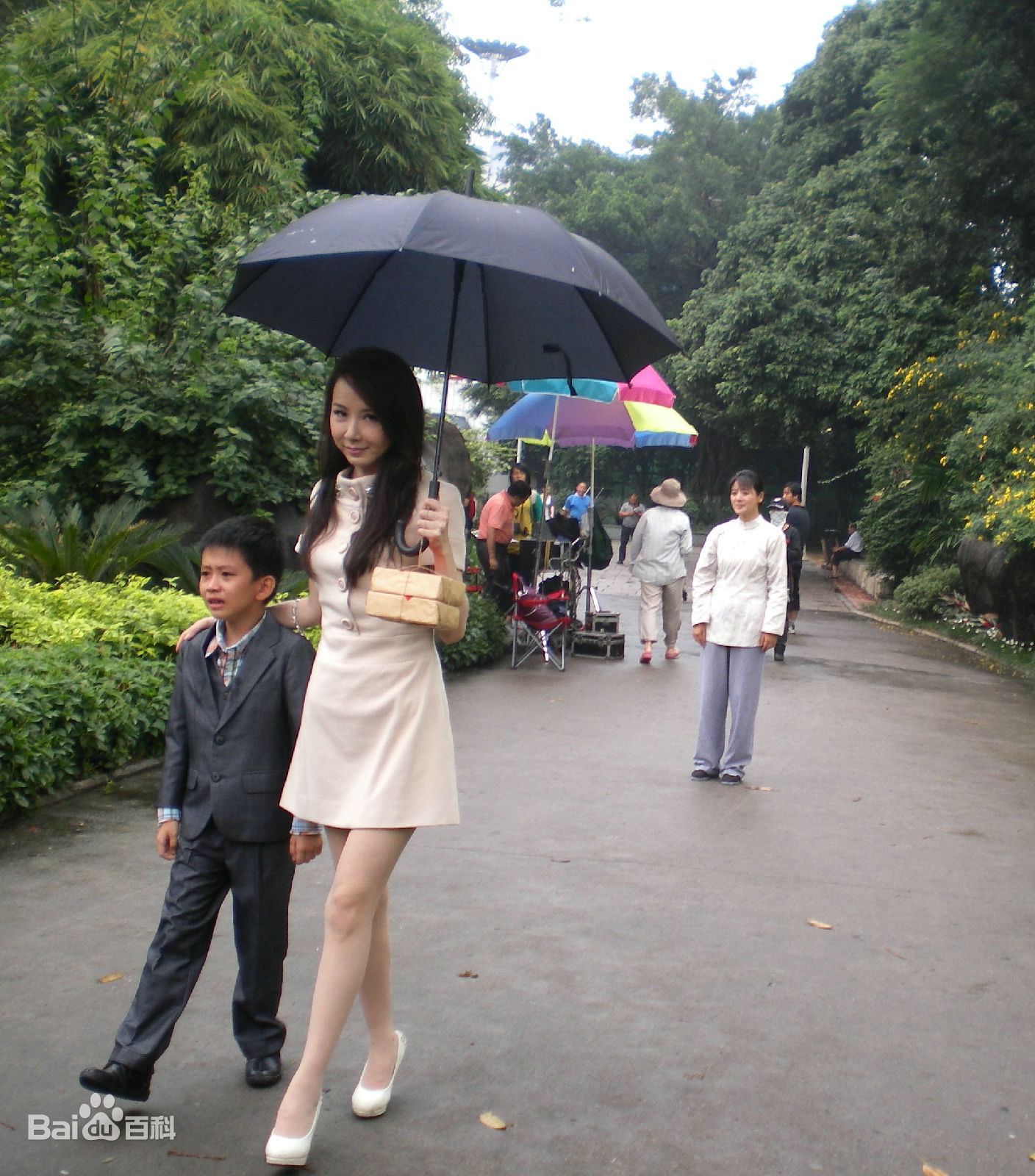 安徽卫视《海豚第一剧场》电视剧奶奶再爱我一